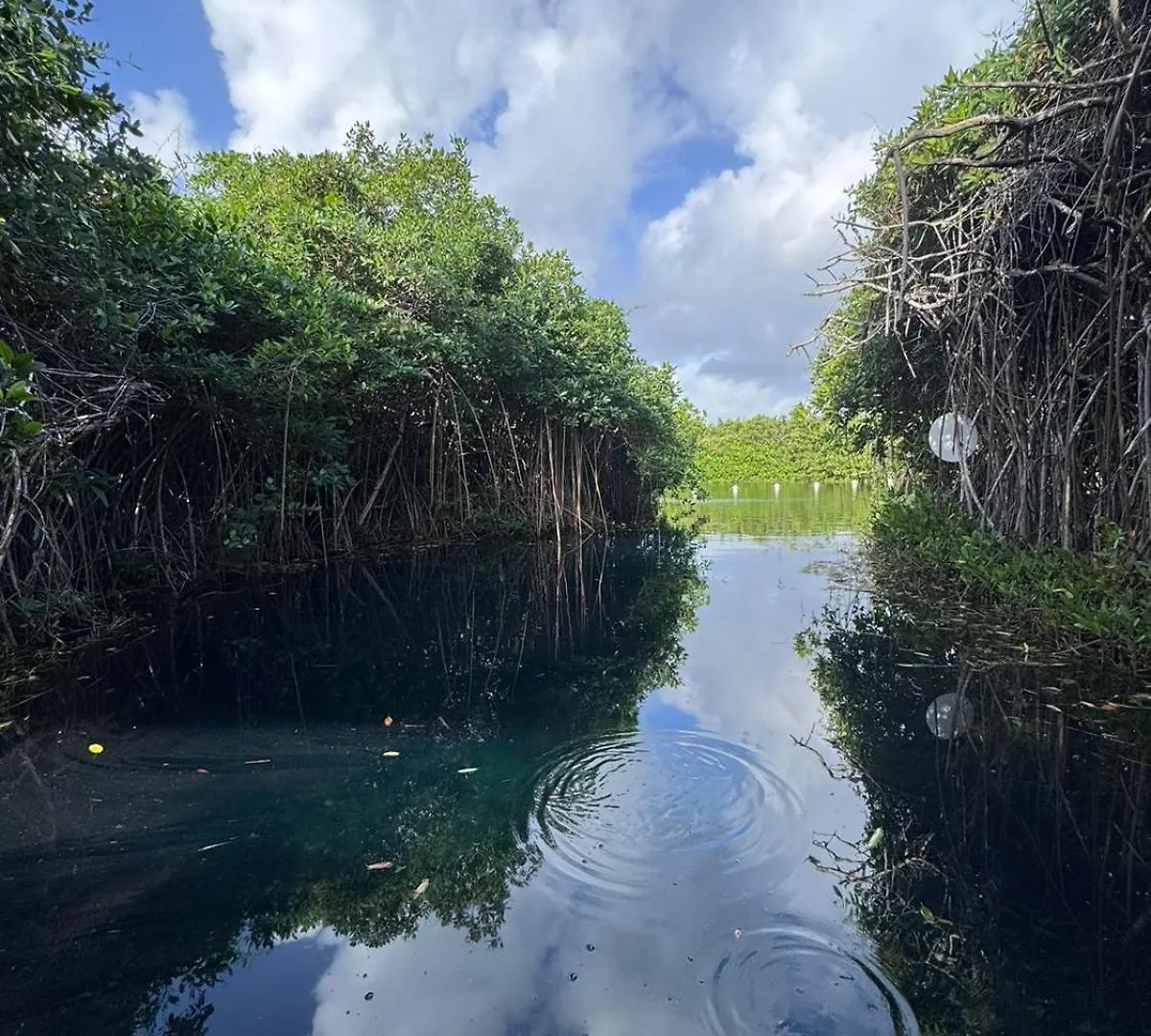 Cabanas Tulum - Aldea Mangle & Cenote Lodge