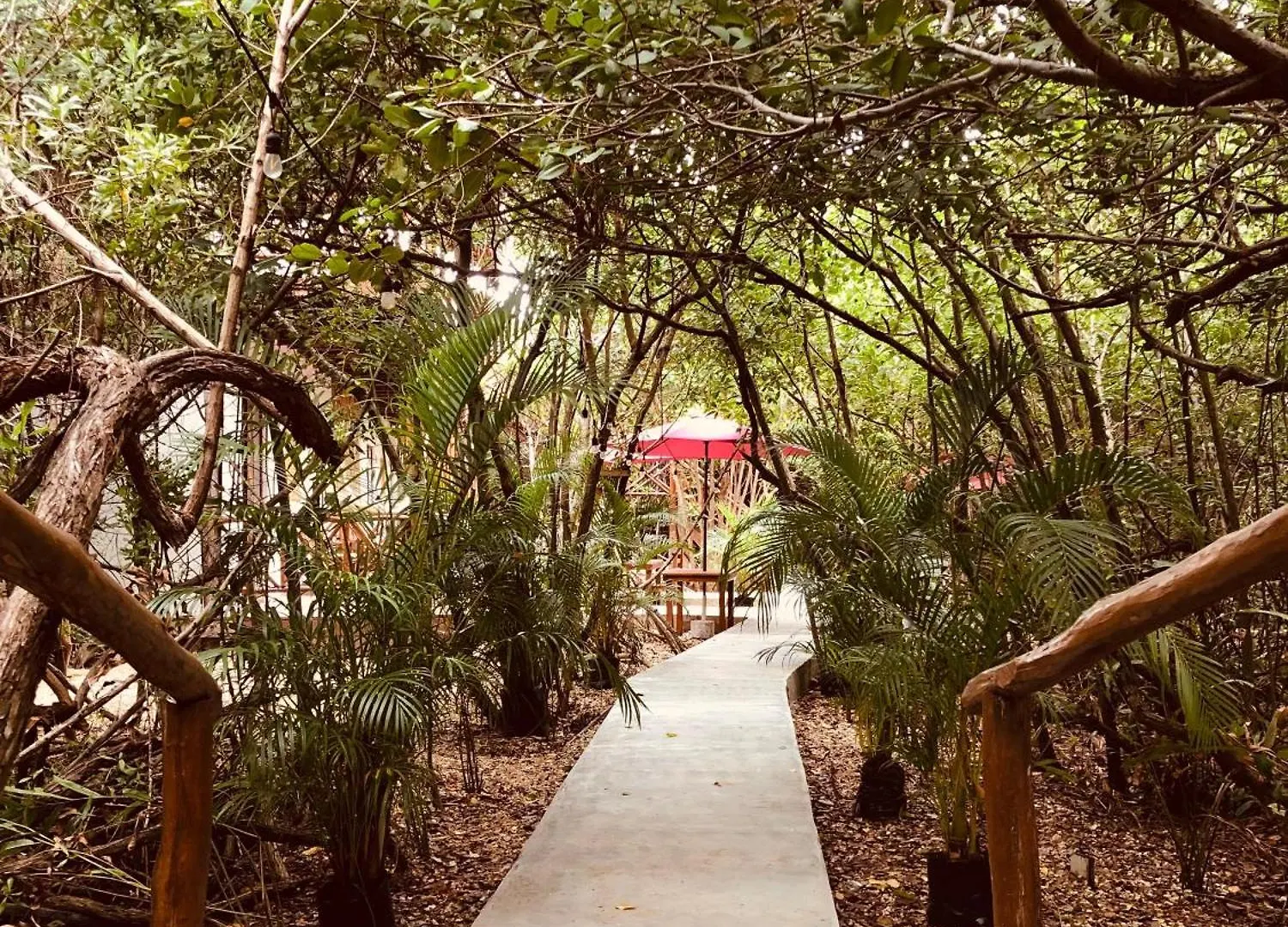 Cabanas Tulum - Aldea Mangle & Cenote 0*,  Mexico
