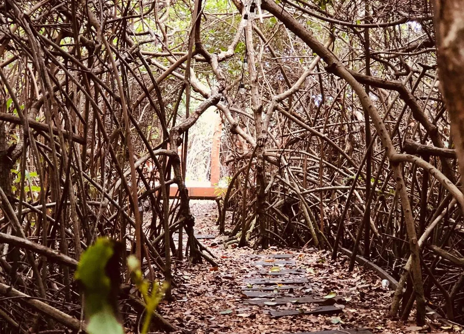 Cabanas Tulum - Aldea Mangle & Cenote Lodge