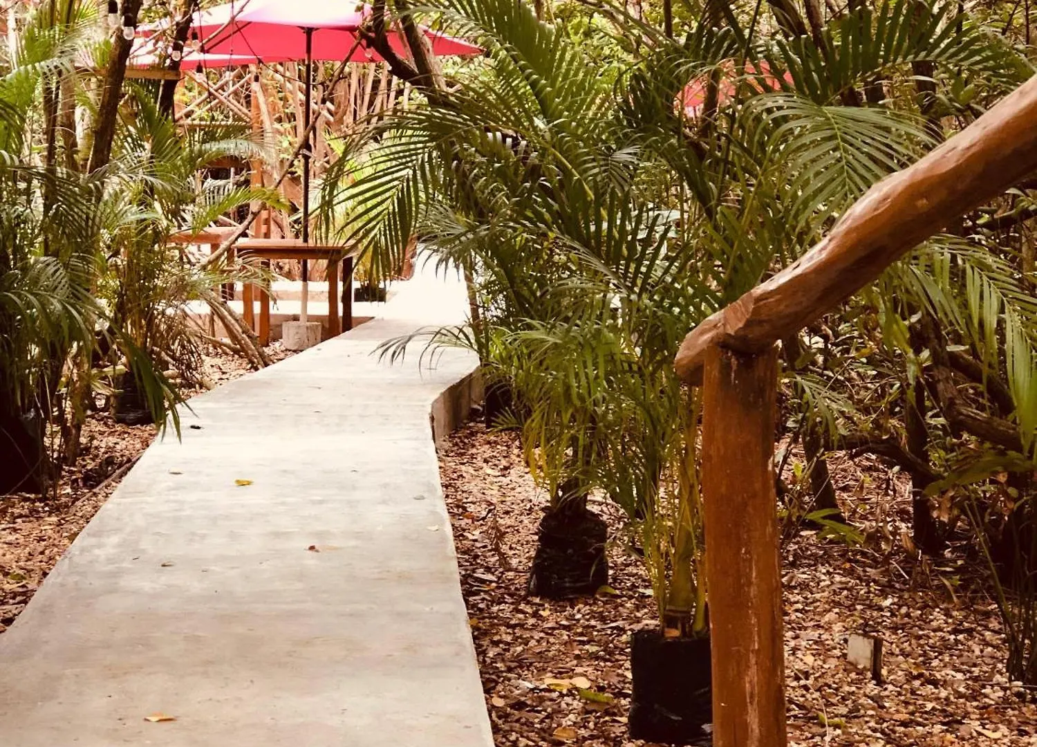 Cabanas Tulum - Aldea Mangle & Cenote
