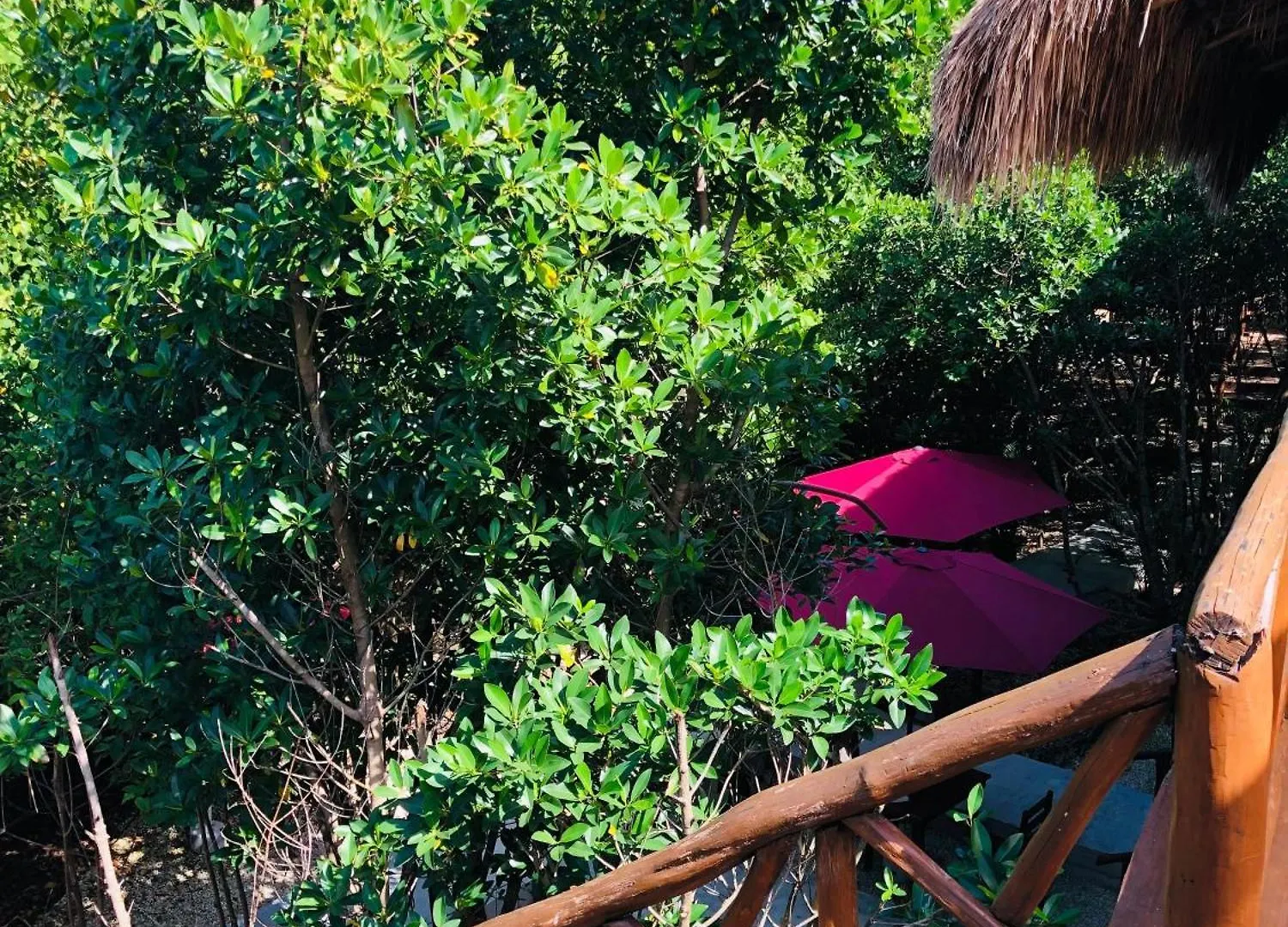 Lodge Cabanas Tulum - Aldea Mangle & Cenote